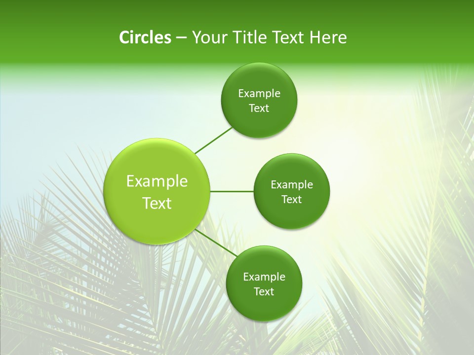 Company Li Ten Management PowerPoint Template