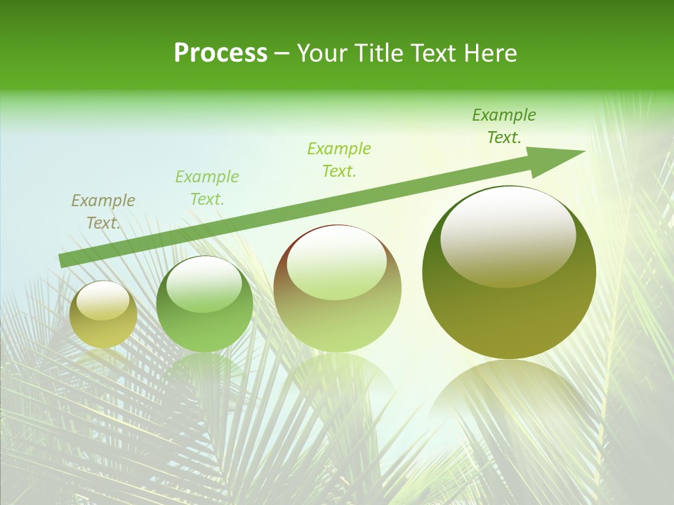 Company Li Ten Management PowerPoint Template