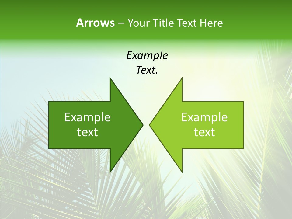 Company Li Ten Management PowerPoint Template