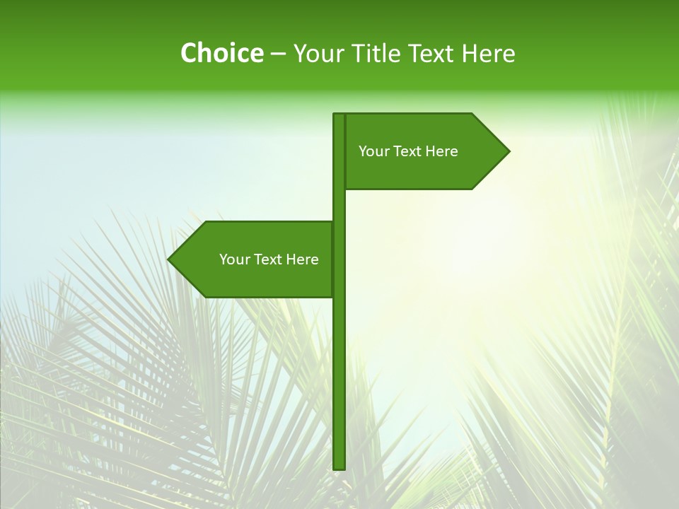 Company Li Ten Management PowerPoint Template