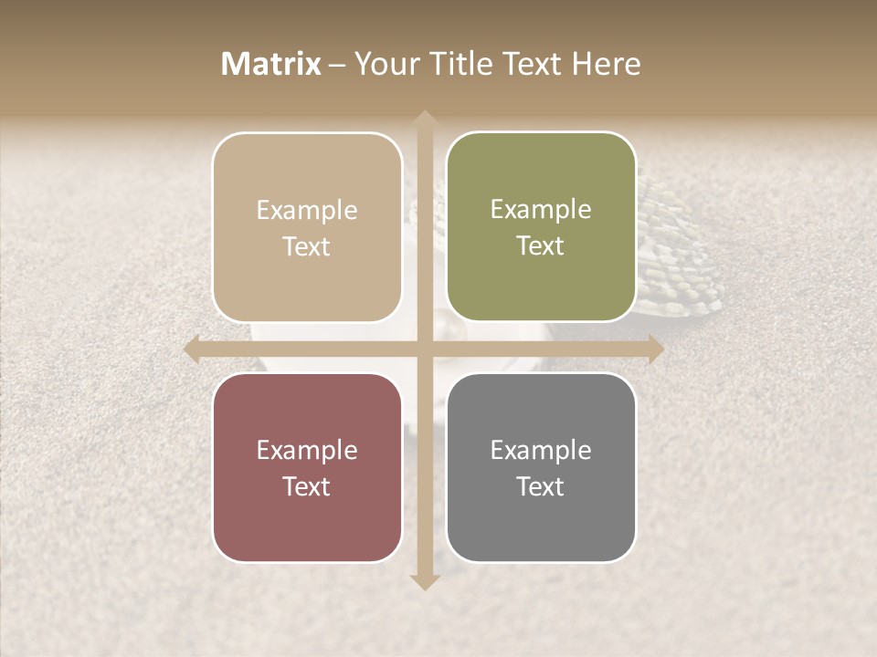 Expensive Reflection Seashell PowerPoint Template