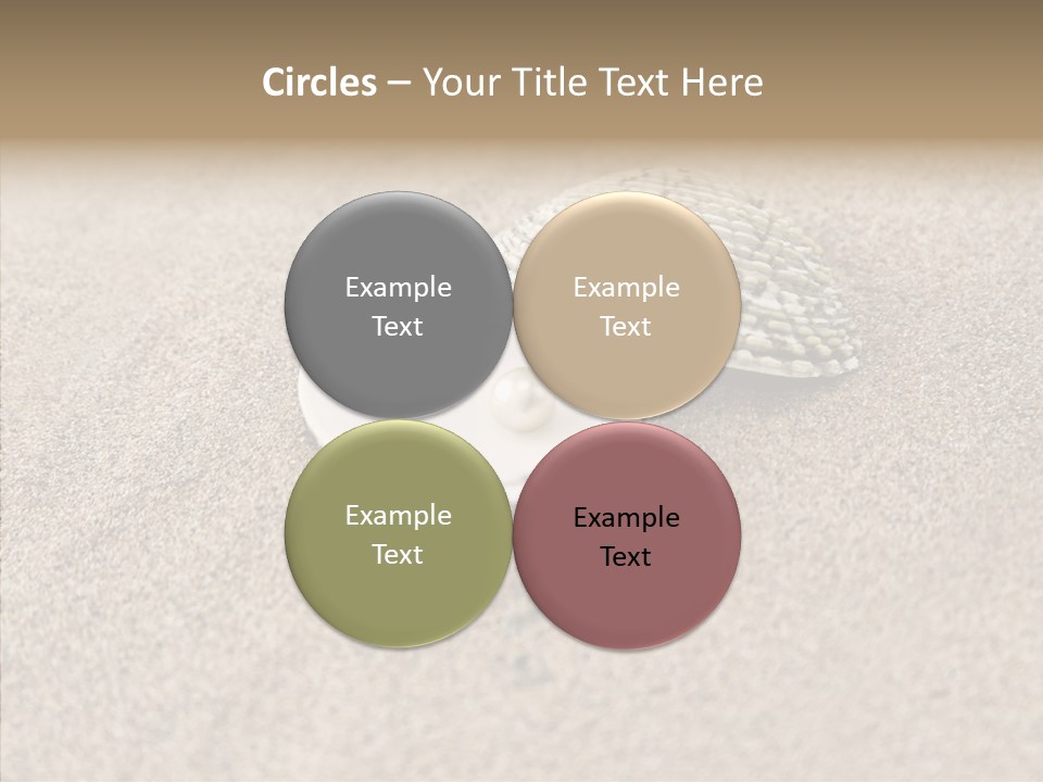 Expensive Reflection Seashell PowerPoint Template