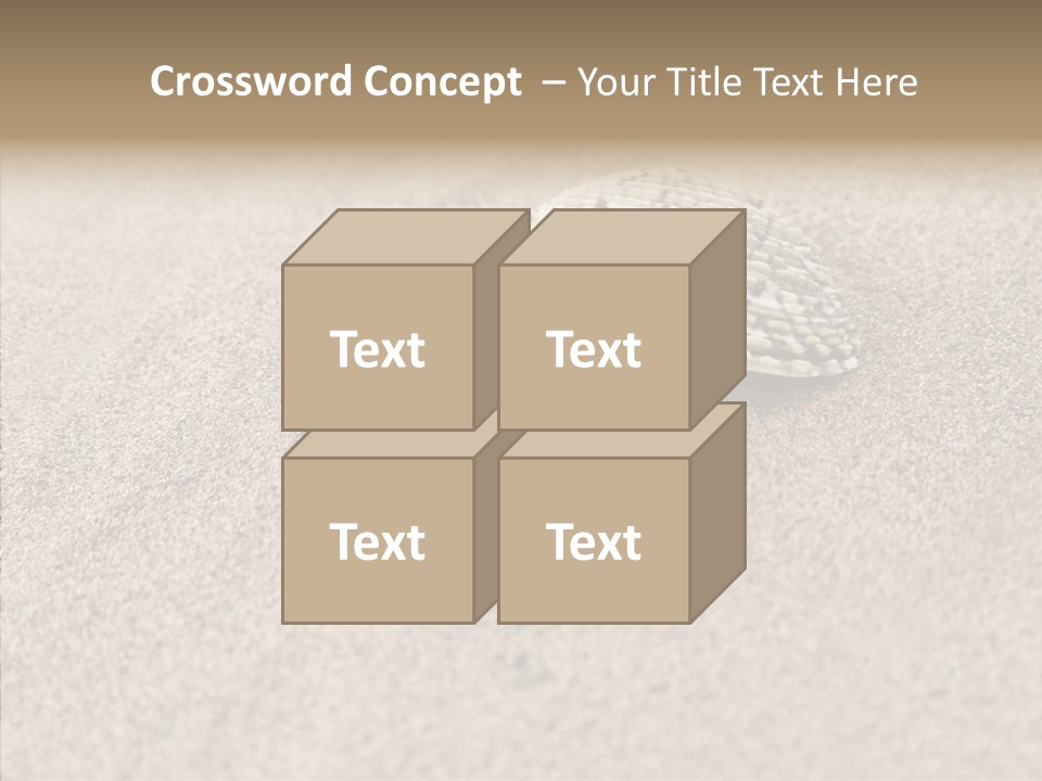 Expensive Reflection Seashell PowerPoint Template