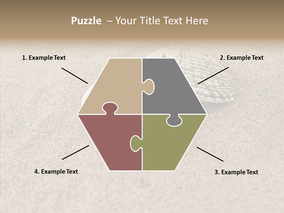 Expensive Reflection Seashell PowerPoint Template