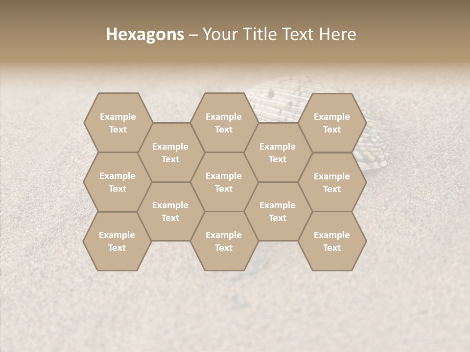Expensive Reflection Seashell PowerPoint Template