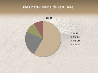 Expensive Reflection Seashell PowerPoint Template