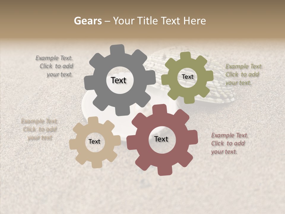 Expensive Reflection Seashell PowerPoint Template