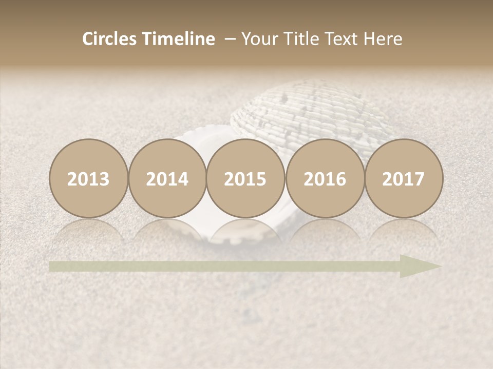 Expensive Reflection Seashell PowerPoint Template