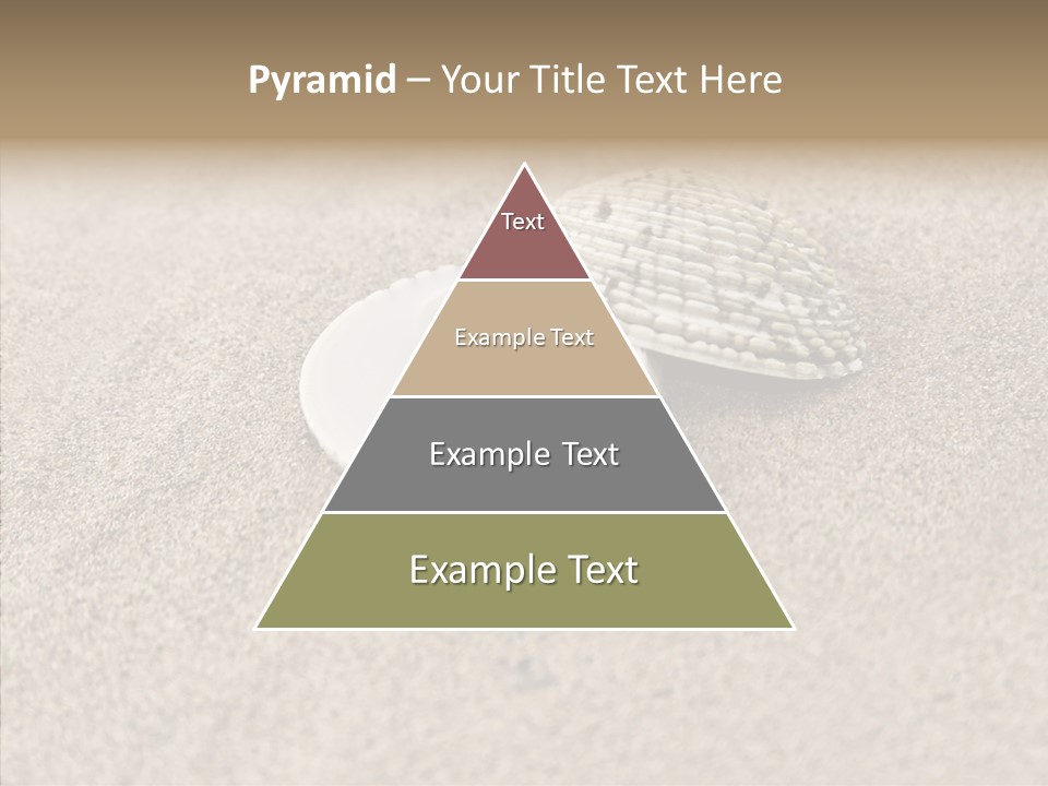 Expensive Reflection Seashell PowerPoint Template