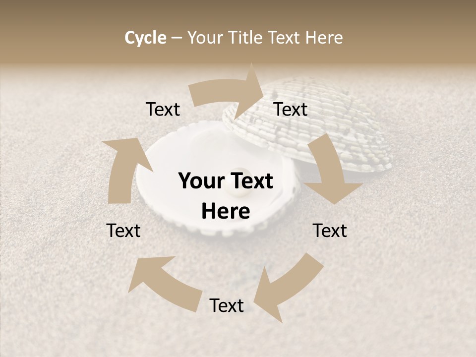 Expensive Reflection Seashell PowerPoint Template