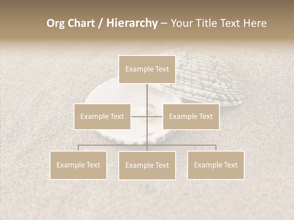 Expensive Reflection Seashell PowerPoint Template