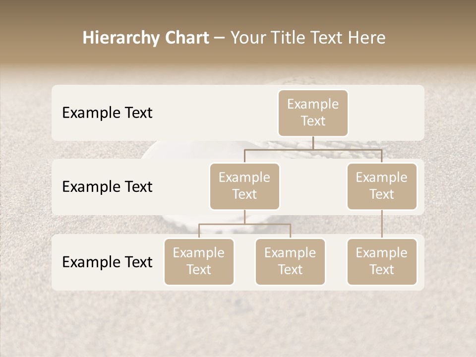 Expensive Reflection Seashell PowerPoint Template