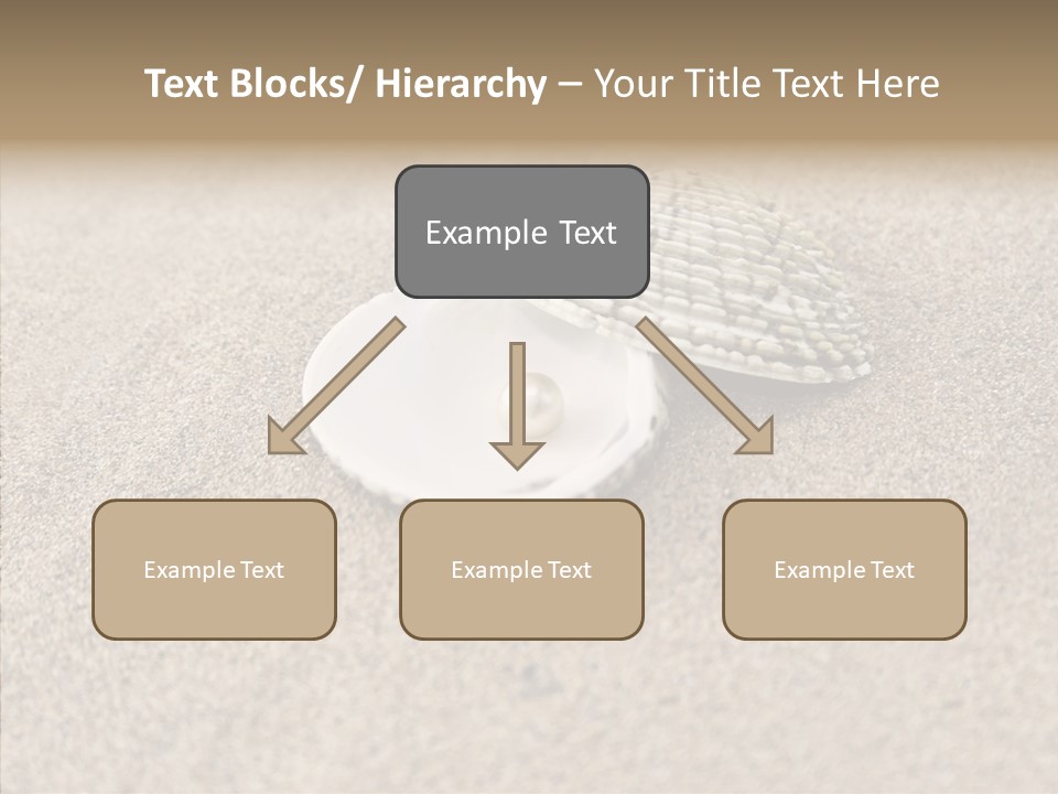 Expensive Reflection Seashell PowerPoint Template