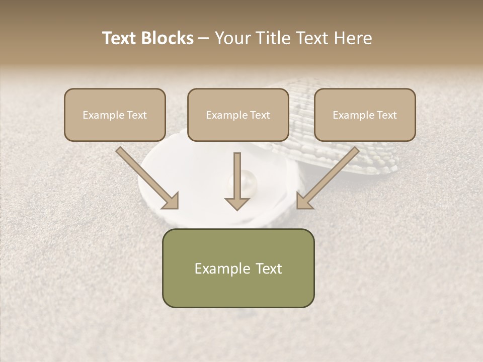 Expensive Reflection Seashell PowerPoint Template