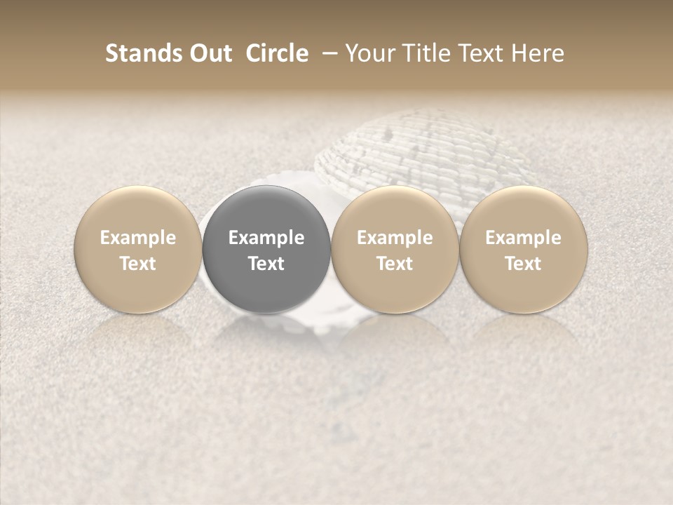 Expensive Reflection Seashell PowerPoint Template
