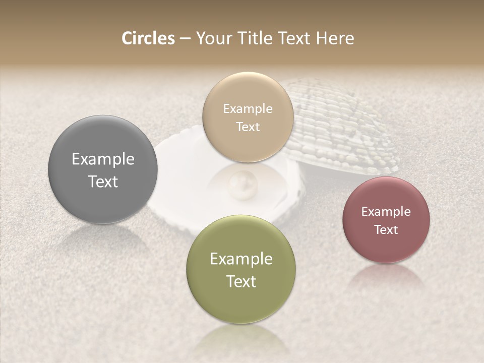 Expensive Reflection Seashell PowerPoint Template
