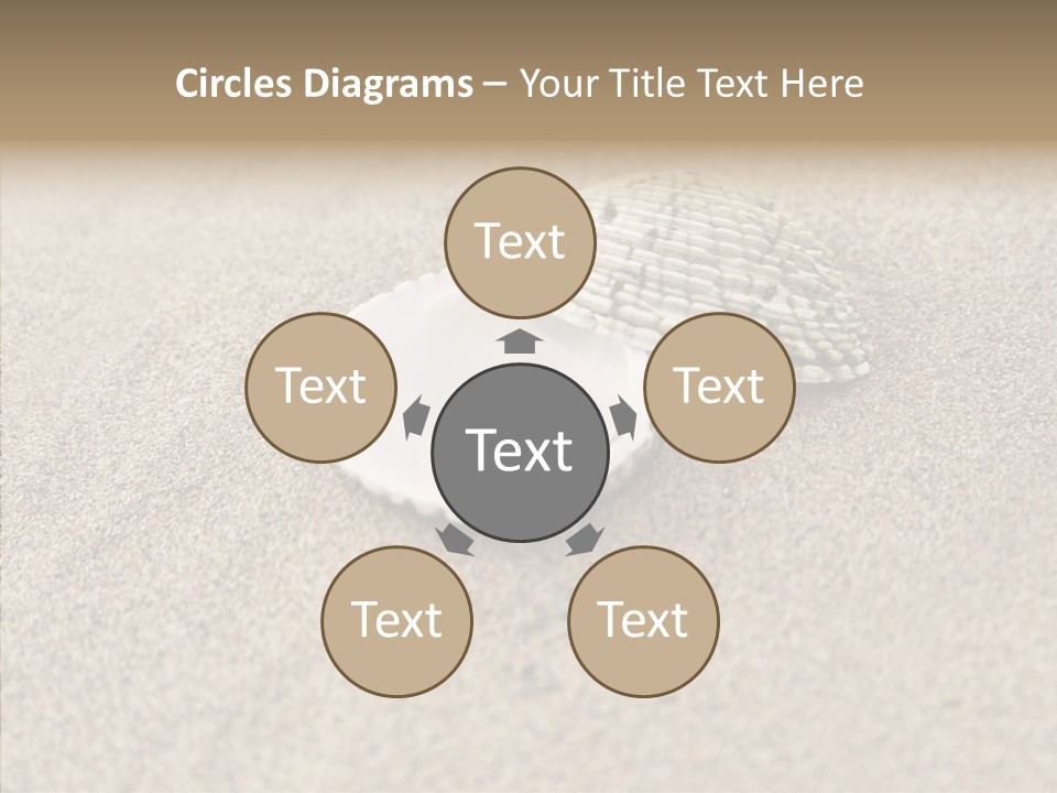 Expensive Reflection Seashell PowerPoint Template