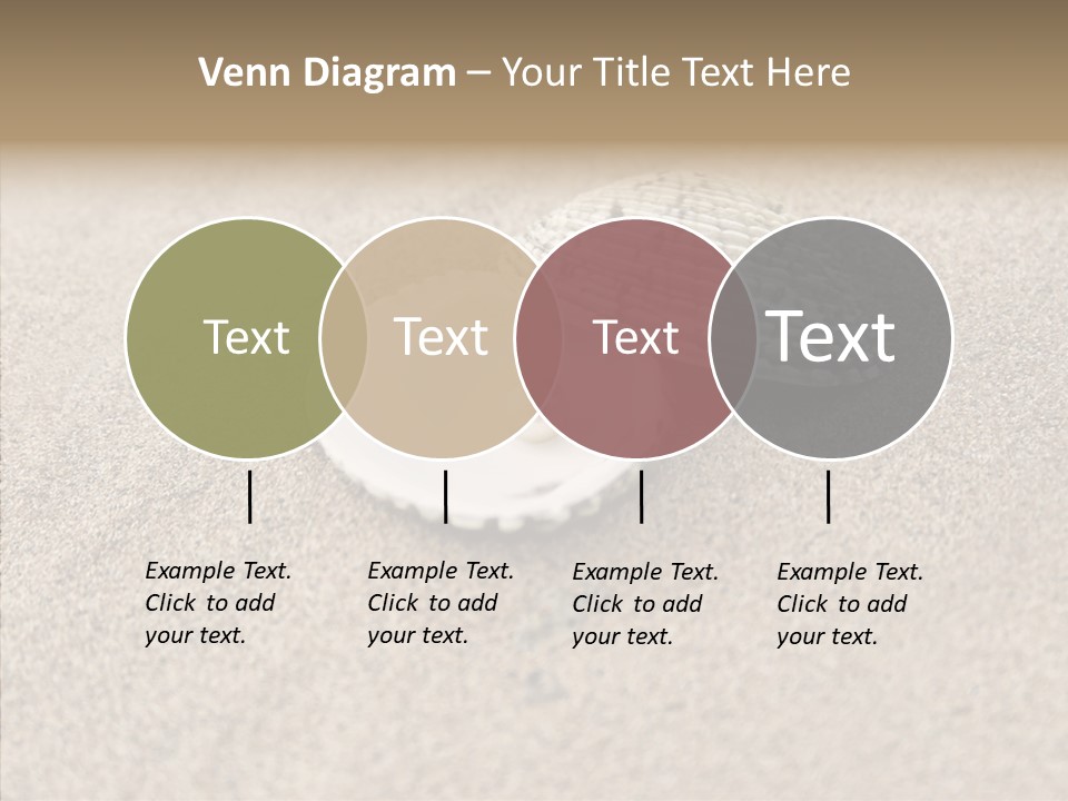 Expensive Reflection Seashell PowerPoint Template