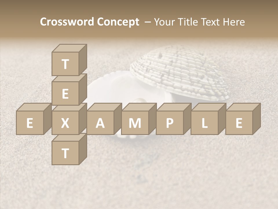 Expensive Reflection Seashell PowerPoint Template