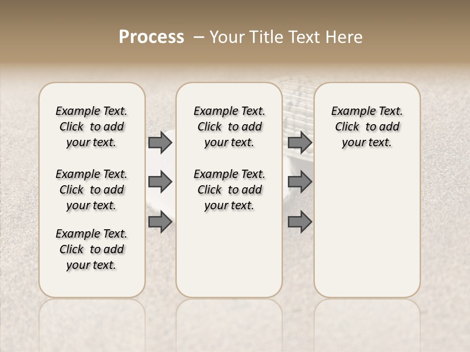 Expensive Reflection Seashell PowerPoint Template