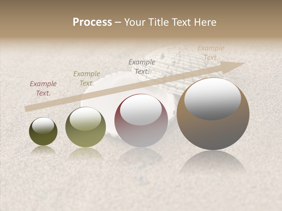 Expensive Reflection Seashell PowerPoint Template