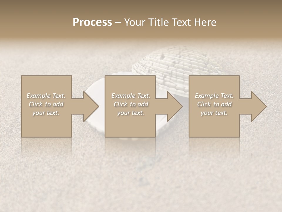 Expensive Reflection Seashell PowerPoint Template