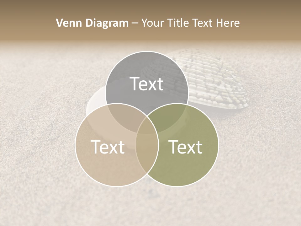 Expensive Reflection Seashell PowerPoint Template