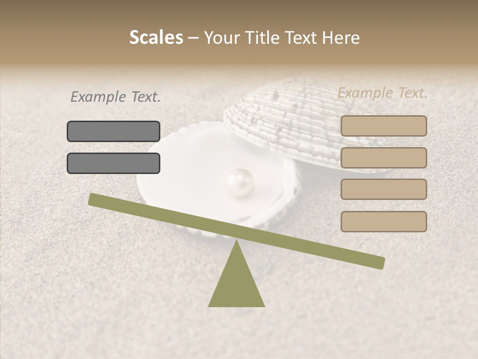 Expensive Reflection Seashell PowerPoint Template