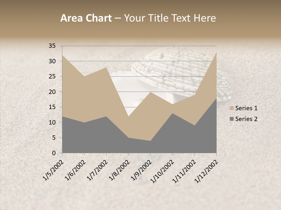 Expensive Reflection Seashell PowerPoint Template