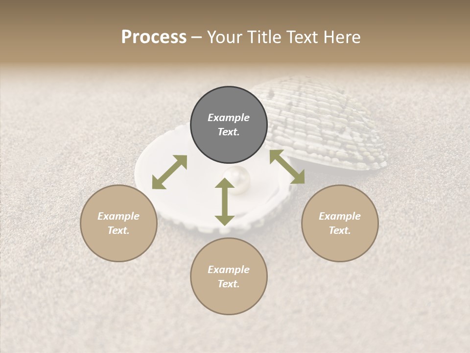 Expensive Reflection Seashell PowerPoint Template
