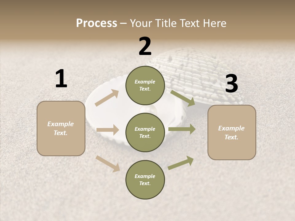 Expensive Reflection Seashell PowerPoint Template