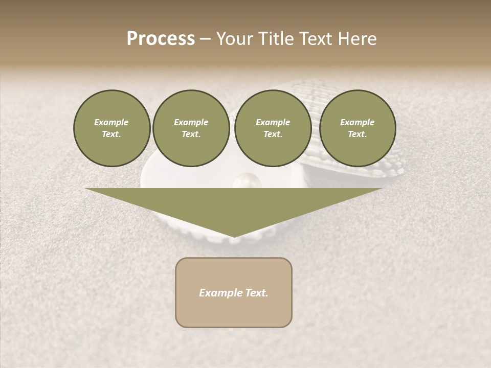 Expensive Reflection Seashell PowerPoint Template