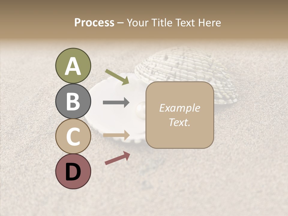 Expensive Reflection Seashell PowerPoint Template