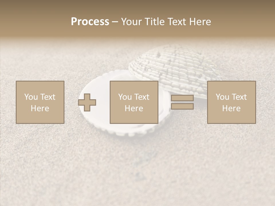 Expensive Reflection Seashell PowerPoint Template