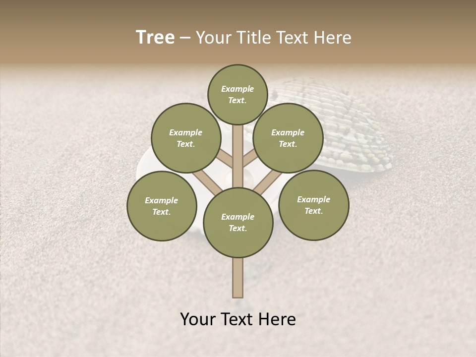 Expensive Reflection Seashell PowerPoint Template