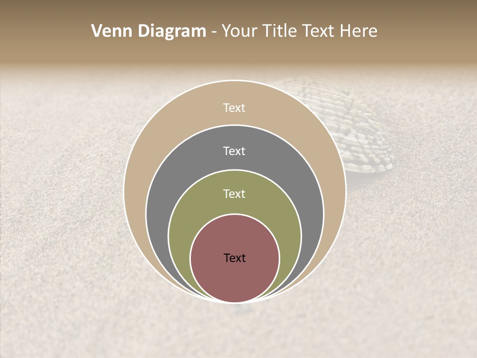 Expensive Reflection Seashell PowerPoint Template