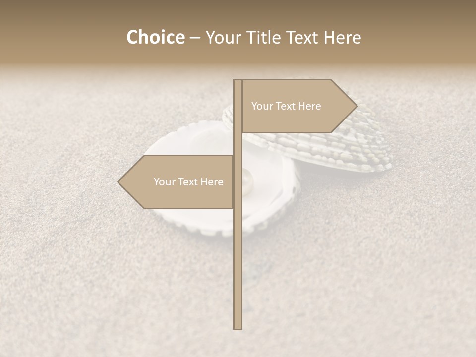 Expensive Reflection Seashell PowerPoint Template