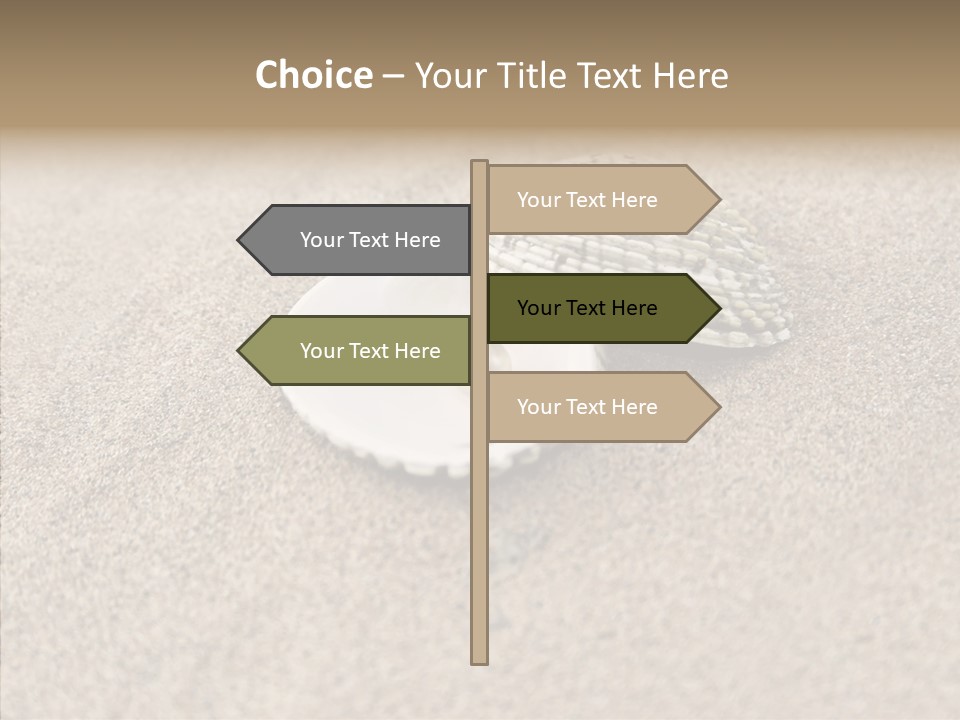Expensive Reflection Seashell PowerPoint Template