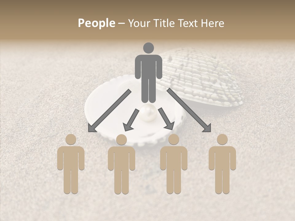 Expensive Reflection Seashell PowerPoint Template