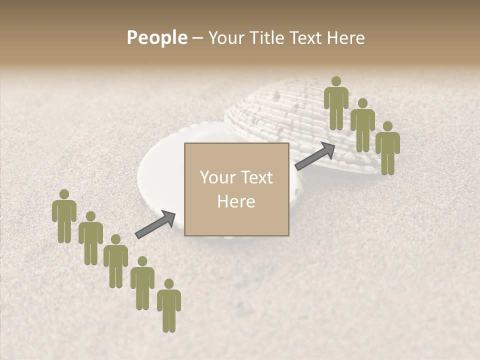 Expensive Reflection Seashell PowerPoint Template