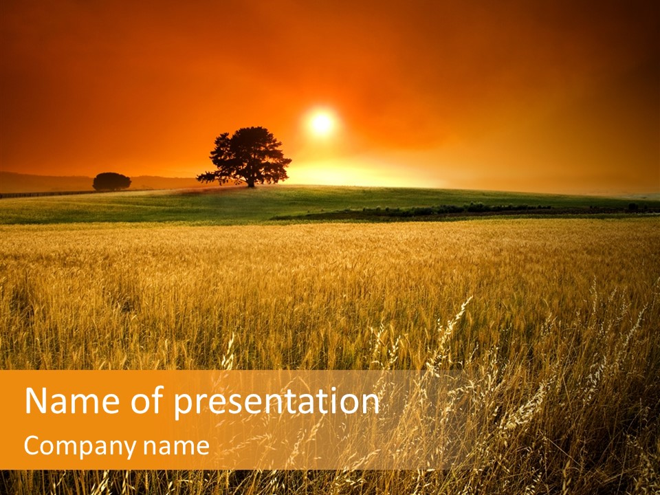 Boardroom Team Trategy PowerPoint Template