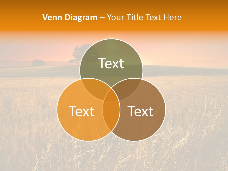 Boardroom Team Trategy PowerPoint Template