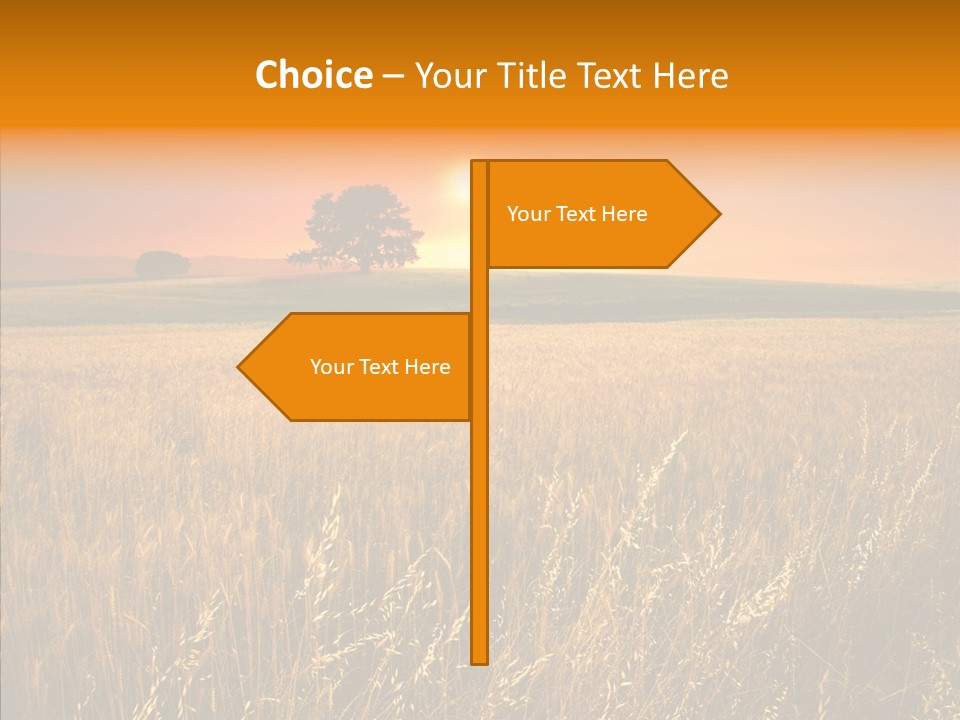 Boardroom Team Trategy PowerPoint Template