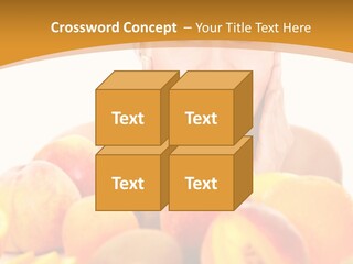 Exfoliate Beauty Apricot PowerPoint Template