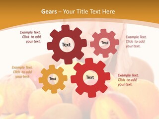 Exfoliate Beauty Apricot PowerPoint Template