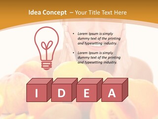 Exfoliate Beauty Apricot PowerPoint Template