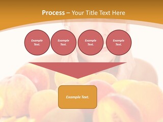 Exfoliate Beauty Apricot PowerPoint Template