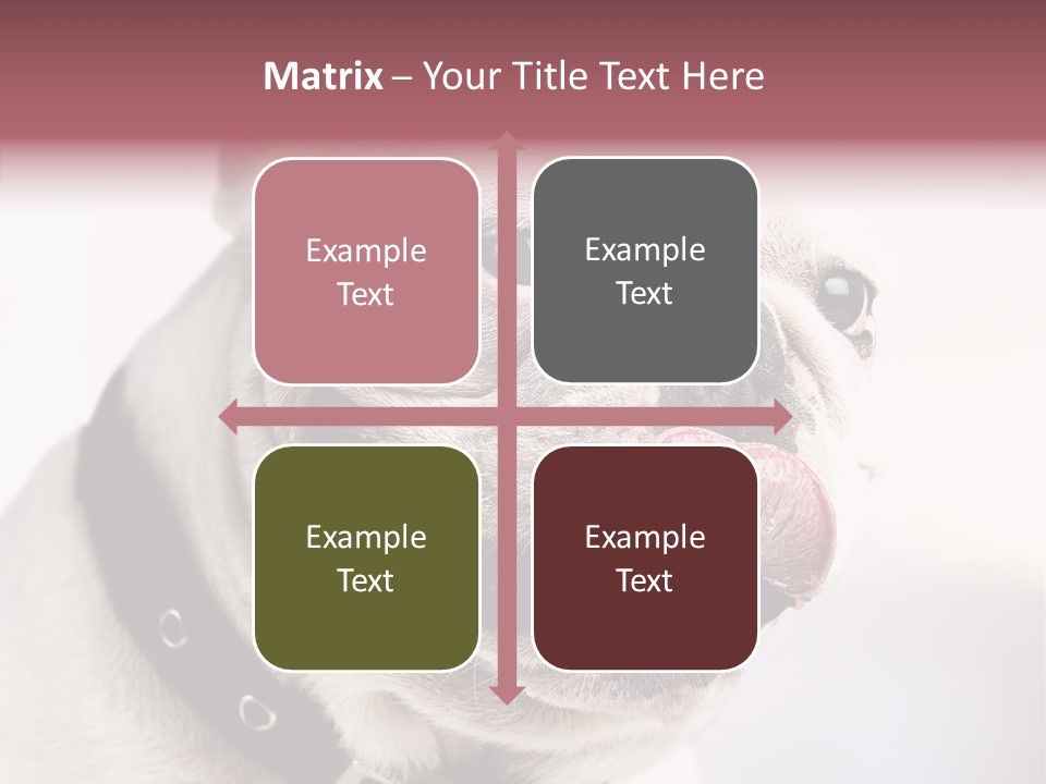 Studio Dog Black PowerPoint Template