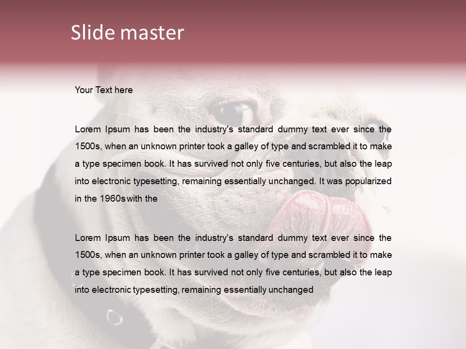 Studio Dog Black PowerPoint Template