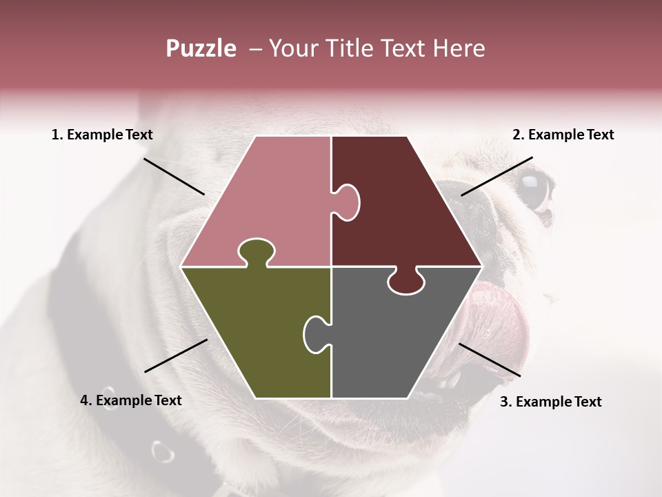 Studio Dog Black PowerPoint Template